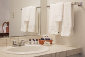 Queen Guest Room bathroom sink