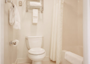 Queen Guest Room bathroom and shower