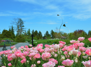 Coastal Maine Botanical Gardens